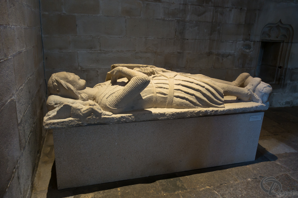 2019-aout-13-DSC02962