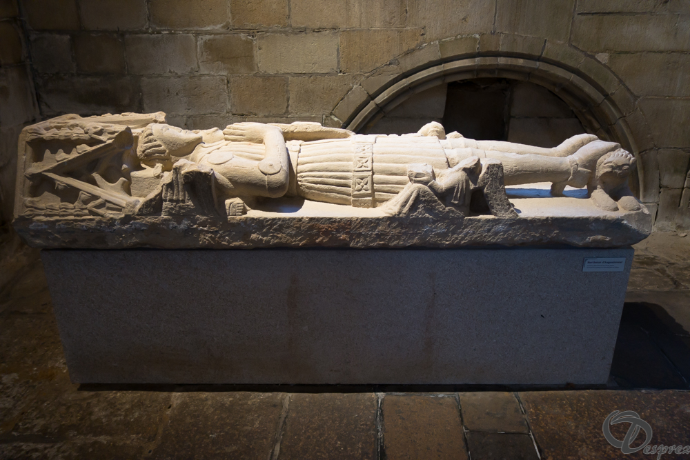 2019-aout-13-DSC02967