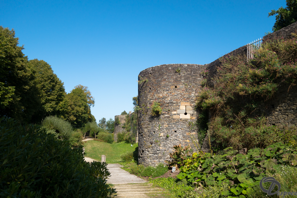 2019-aout-20-DSC03204