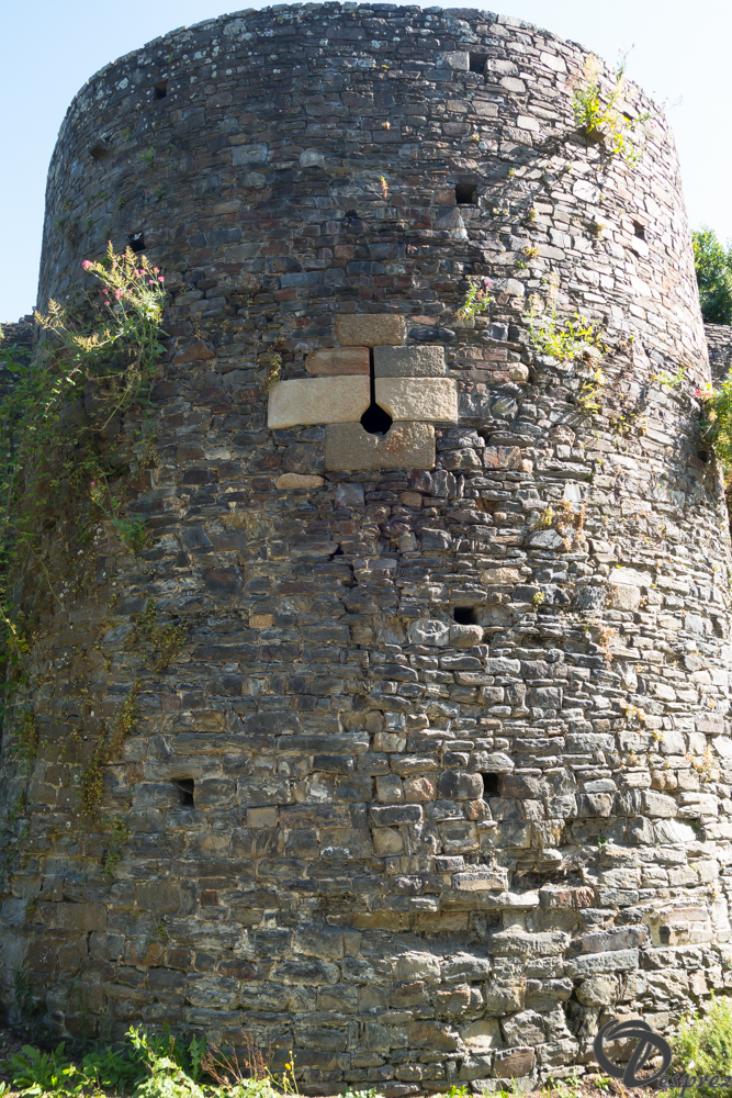 2019-aout-20-DSC03205