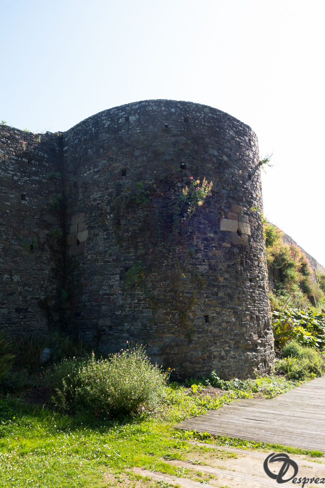 2019-aout-20-DSC03206