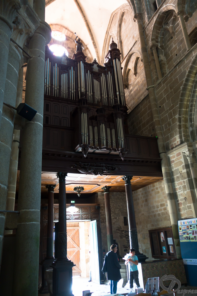 2019-aout-20-DSC03220