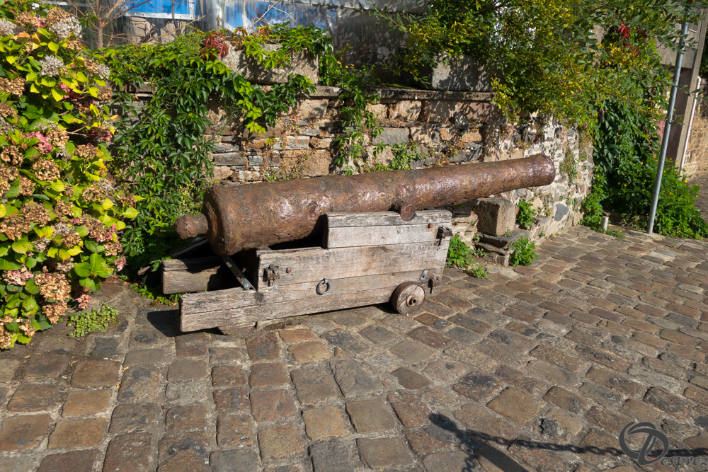 2019-aout-20-DSC03237