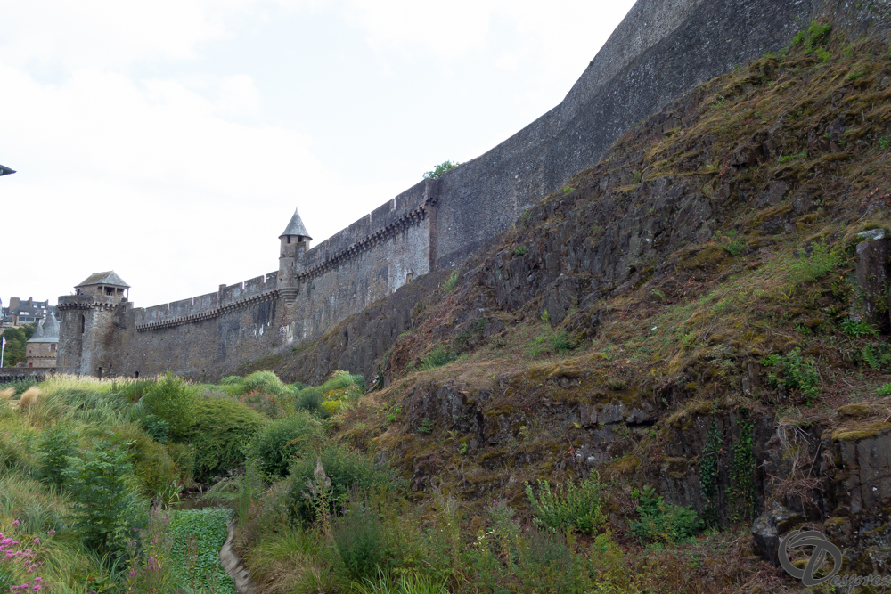 2019-aout-12-DSC02900