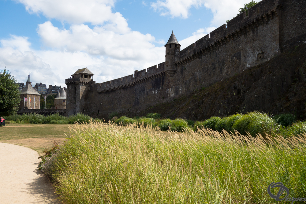 2019-aout-12-DSC02901