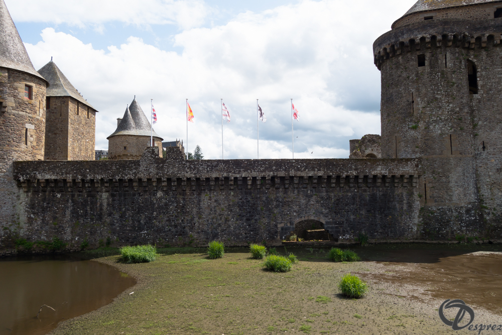 2019-aout-12-DSC02902