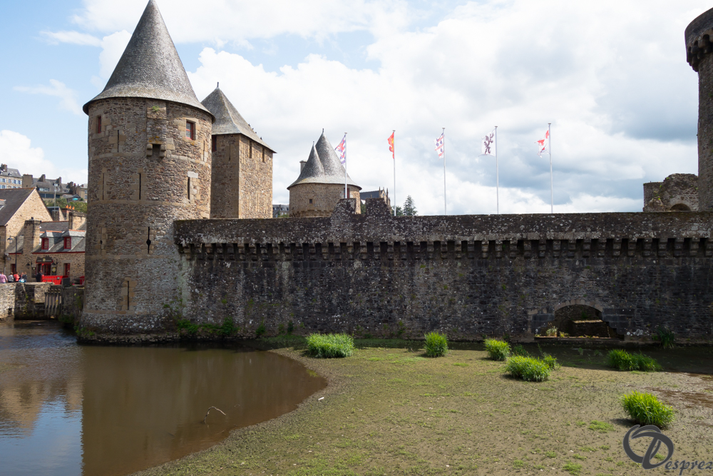 2019-aout-12-DSC02903