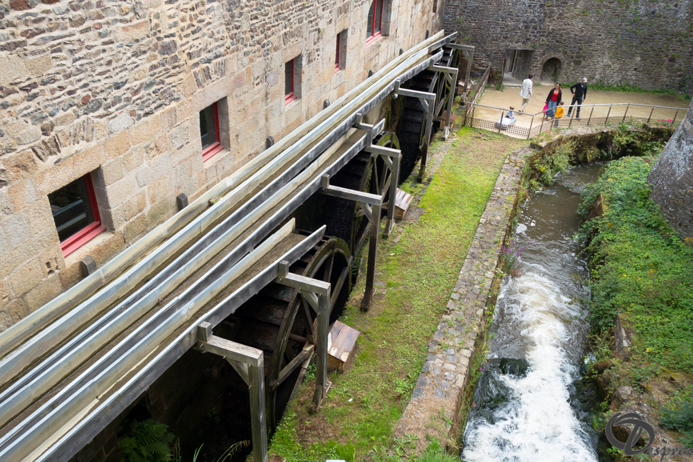 2019-aout-12-DSC02904