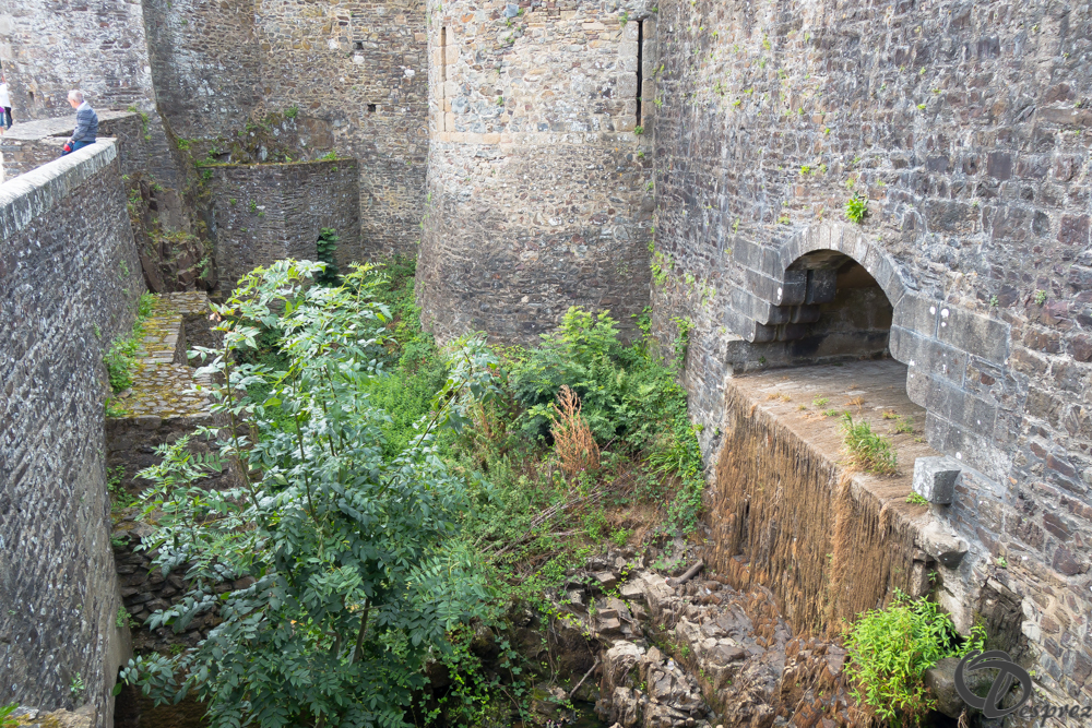 2019-aout-12-DSC02905