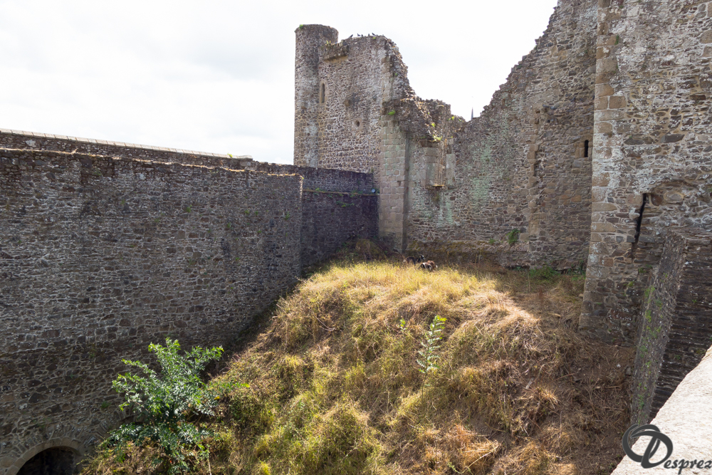 2019-aout-12-DSC02906