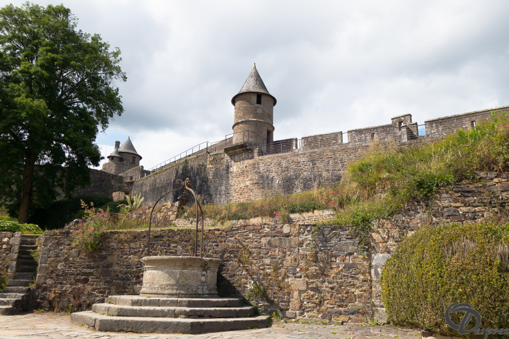 2019-aout-12-DSC02915