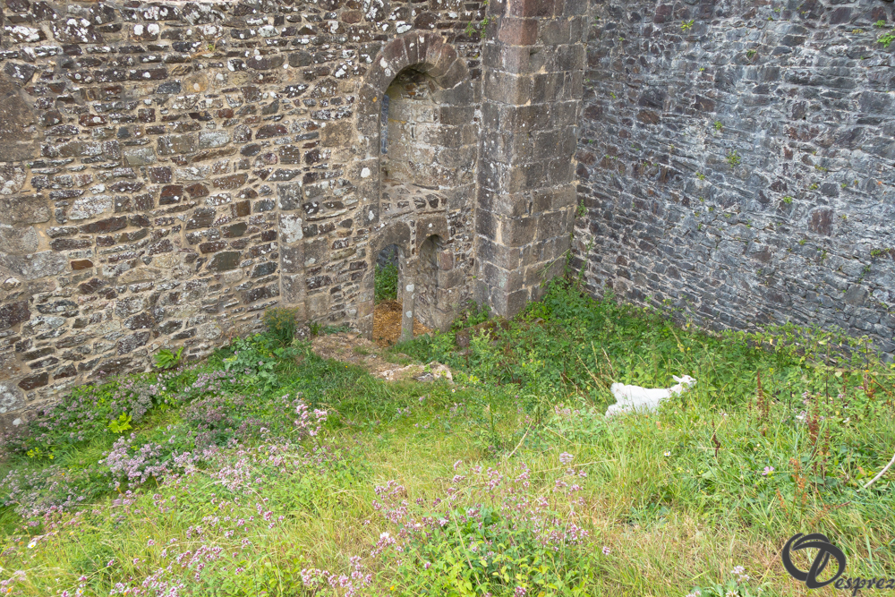 2019-aout-12-DSC02918