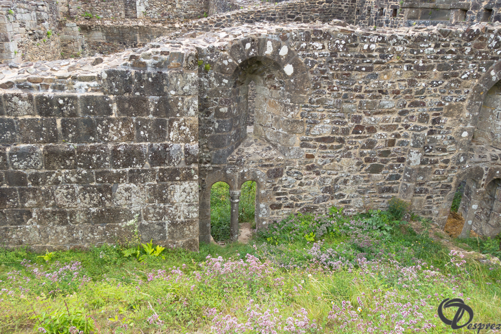 2019-aout-12-DSC02919