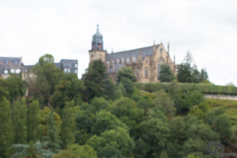 2019-aout-12-DSC02927