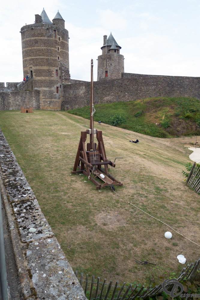 2019-aout-12-DSC02933