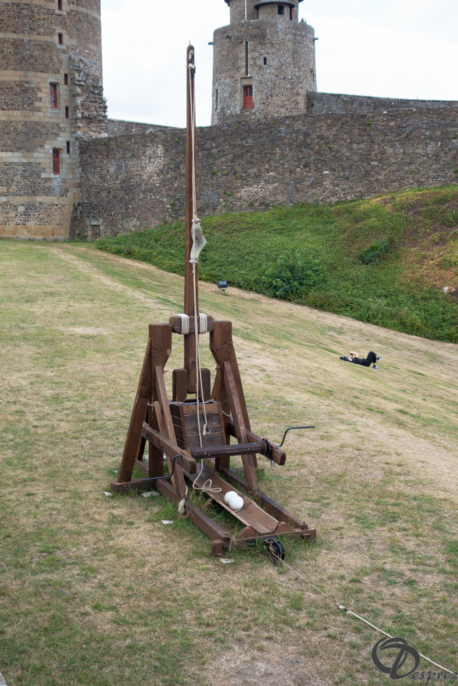 2019-aout-12-DSC02934