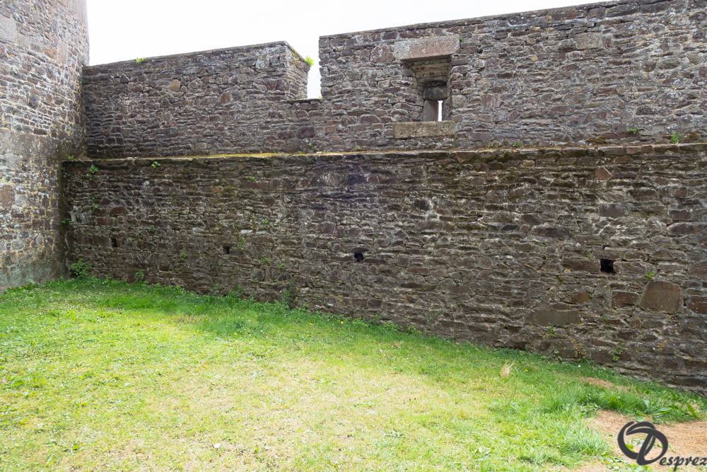 2019-aout-12-DSC02943