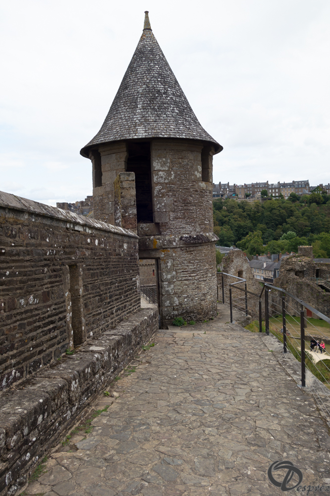 2019-aout-12-DSC02948