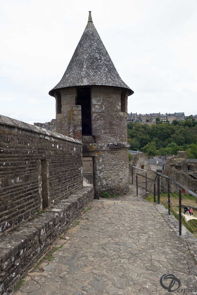 2019-aout-12-DSC02949