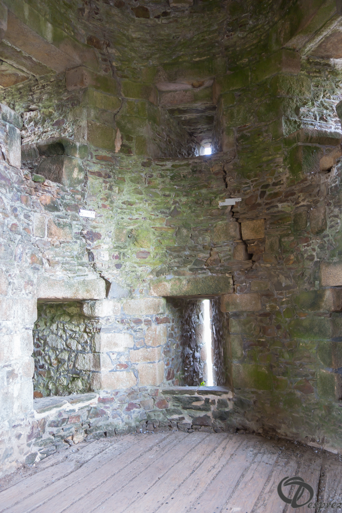 2019-aout-12-DSC02953