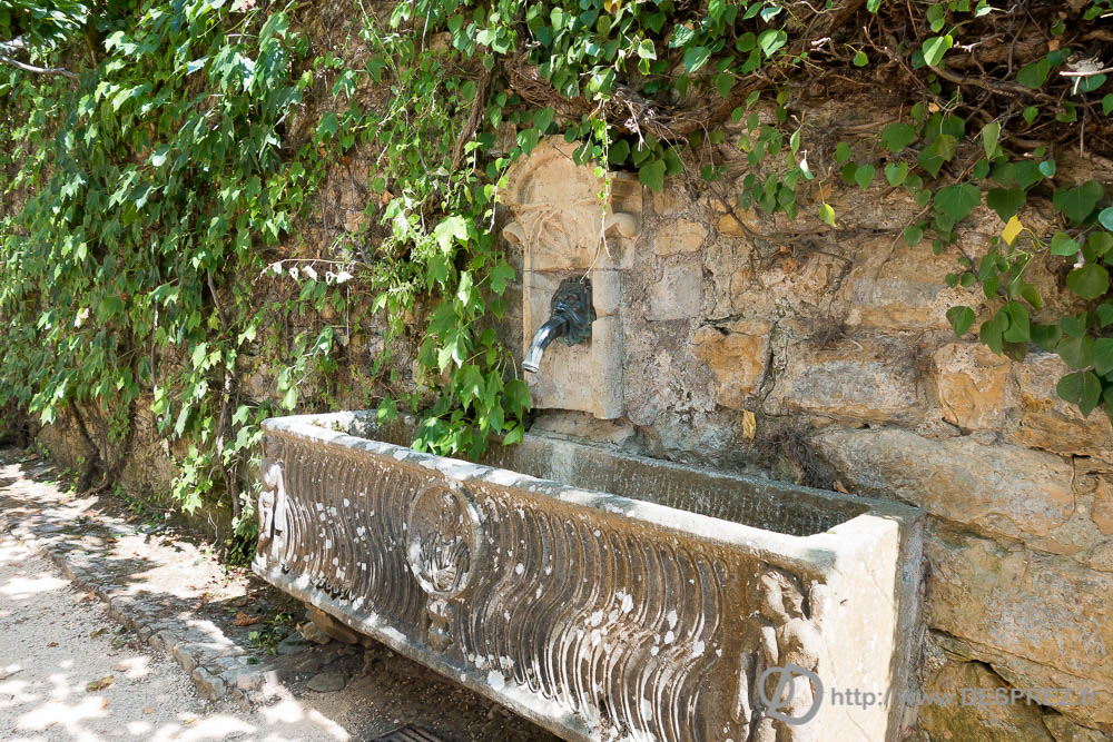 17 aout 2016DSC01277