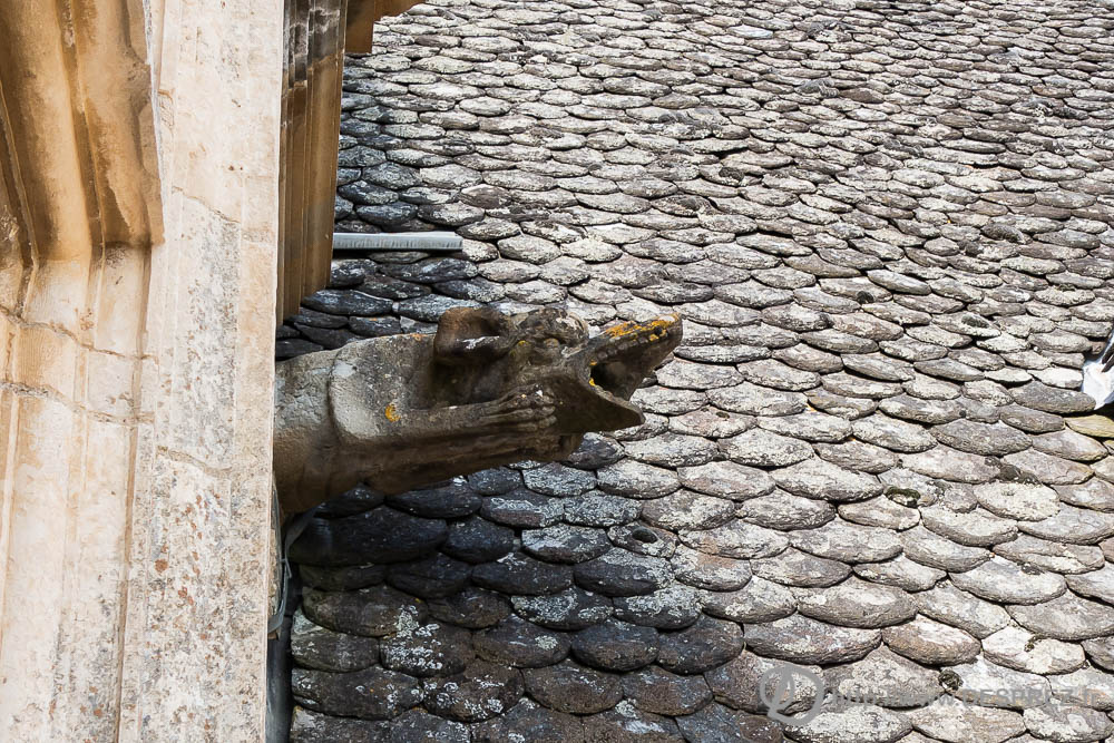 17 aout 2016DSC01292