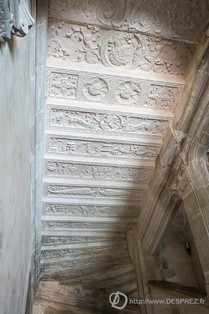 17 aout 2016DSC01298