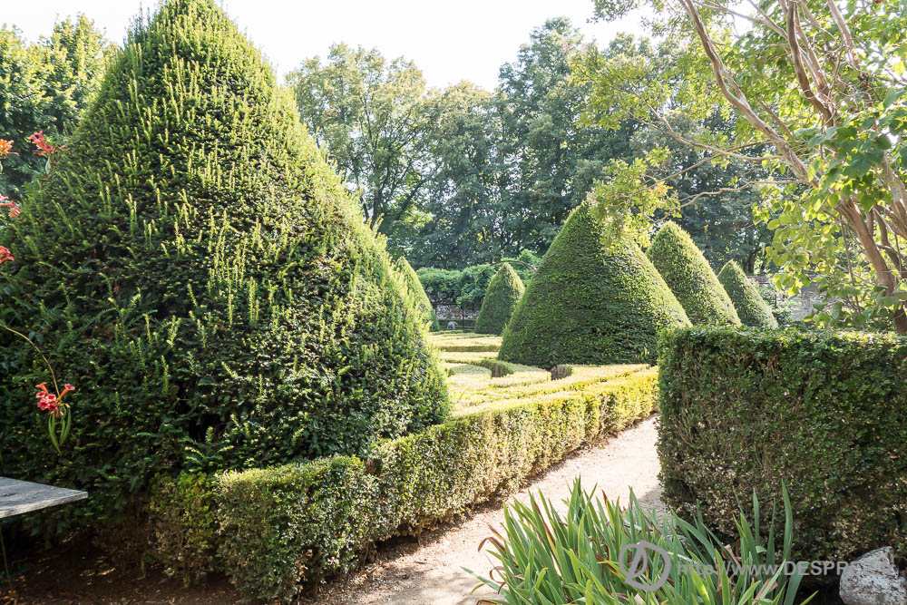 17 aout 2016DSC01311