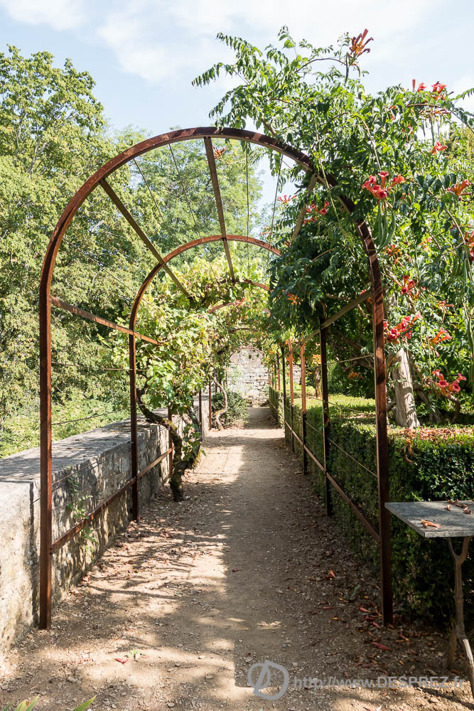 17 aout 2016DSC01312