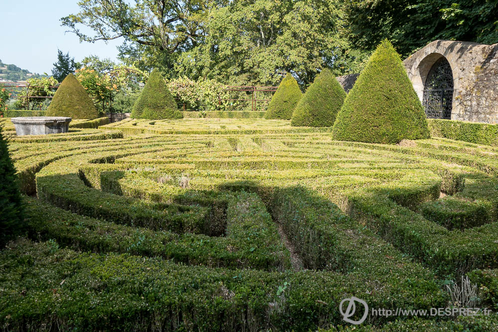 17 aout 2016DSC01317