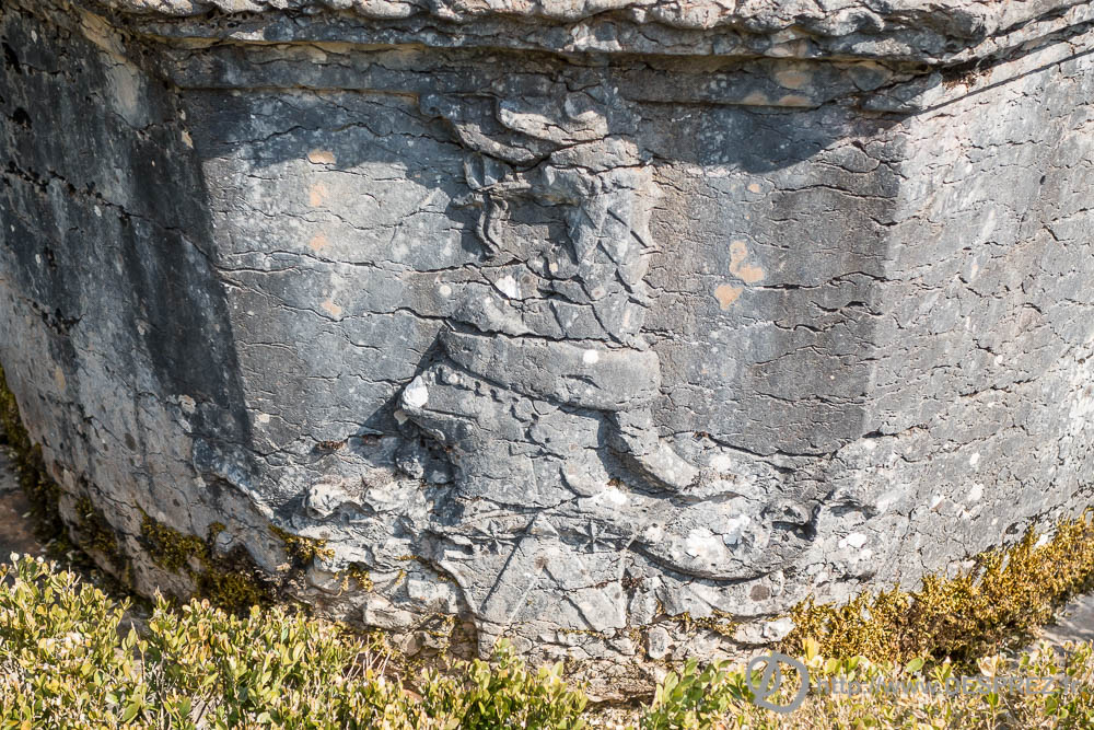 17 aout 2016DSC01321