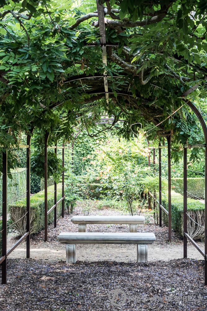 17 aout 2016DSC01323