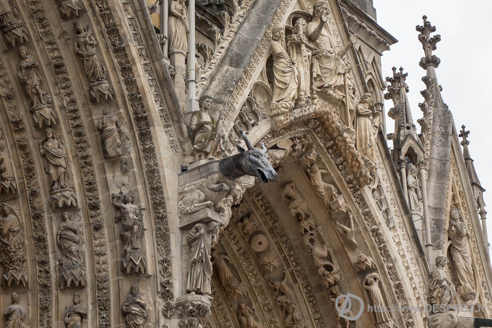 13 avril 2017DSC01557