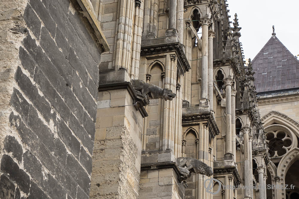 13 avril 2017DSC01575