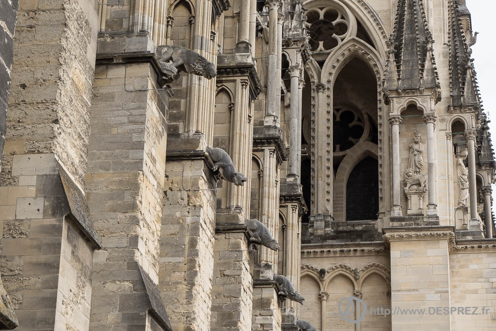 13 avril 2017DSC01576