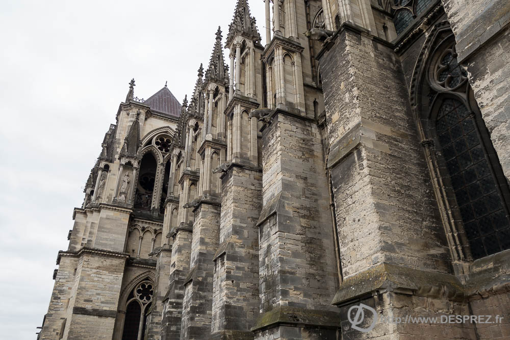 13 avril 2017DSC01579