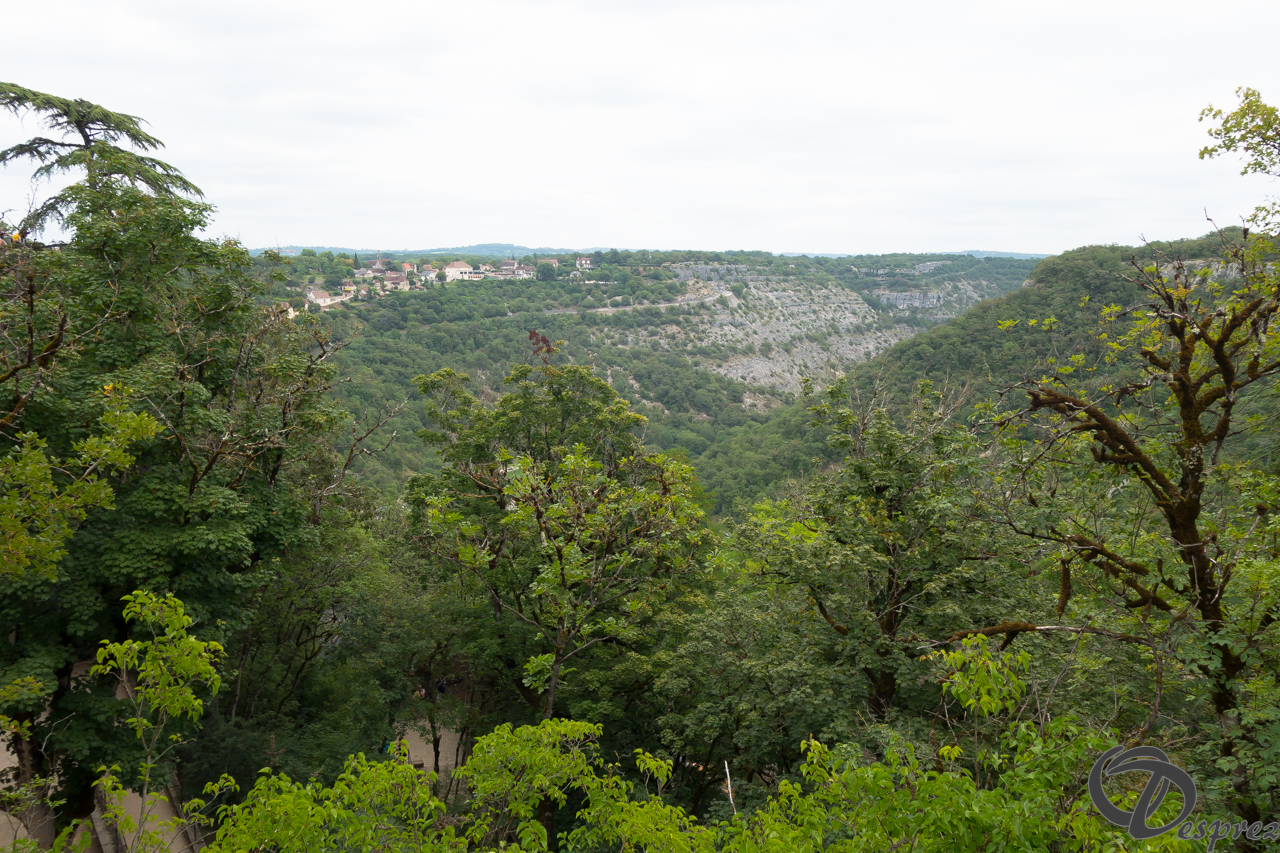 2021-août-15-DSC03423