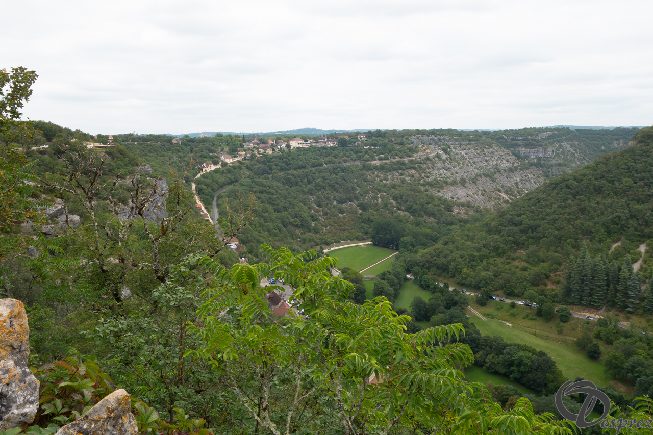 2021-août-15-DSC03424