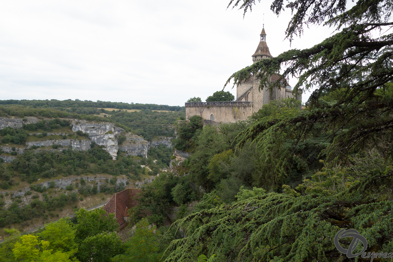 2021-août-15-DSC03425