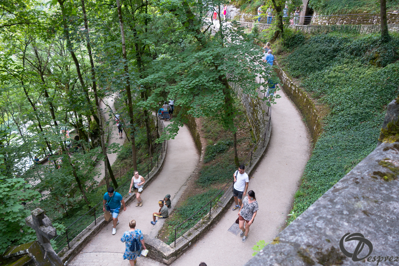 2021-août-15-DSC03428