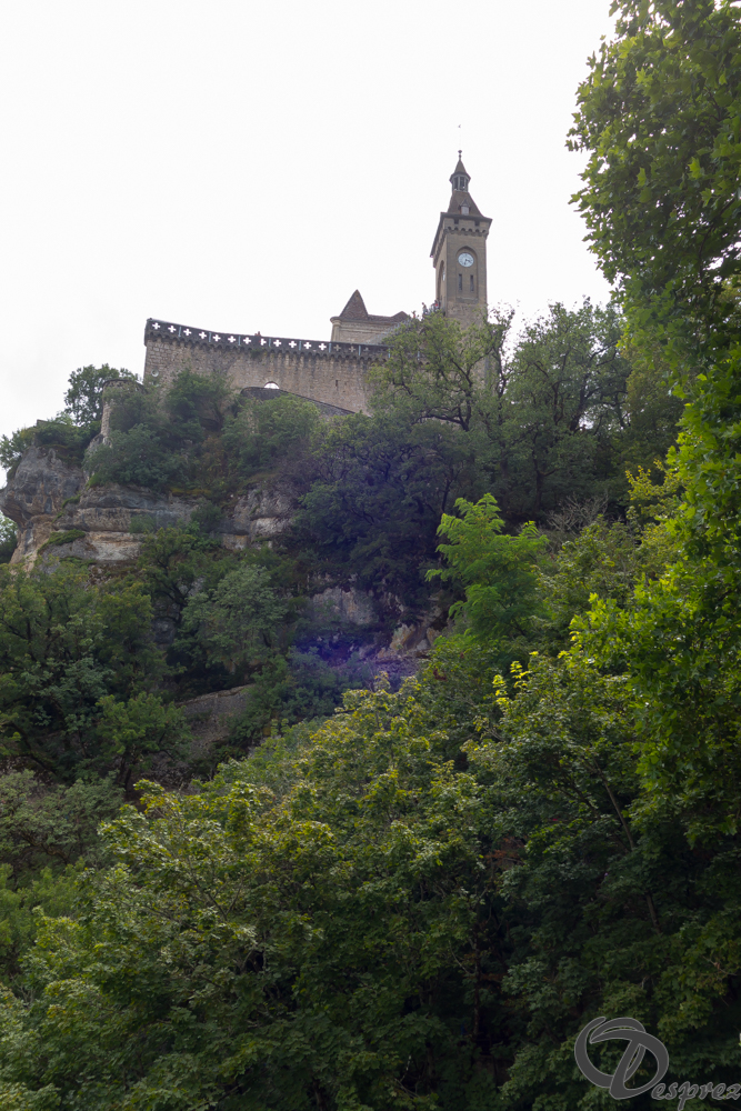 2021-août-15-DSC03430