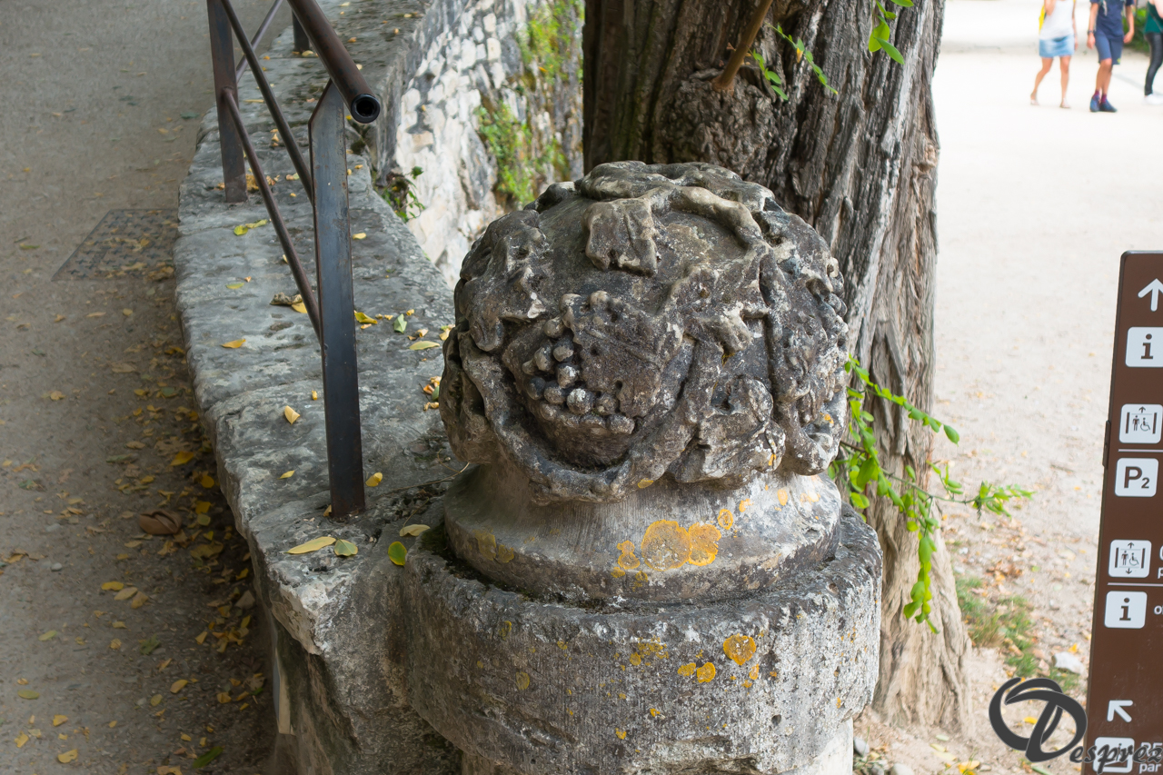 2021-août-15-DSC03431