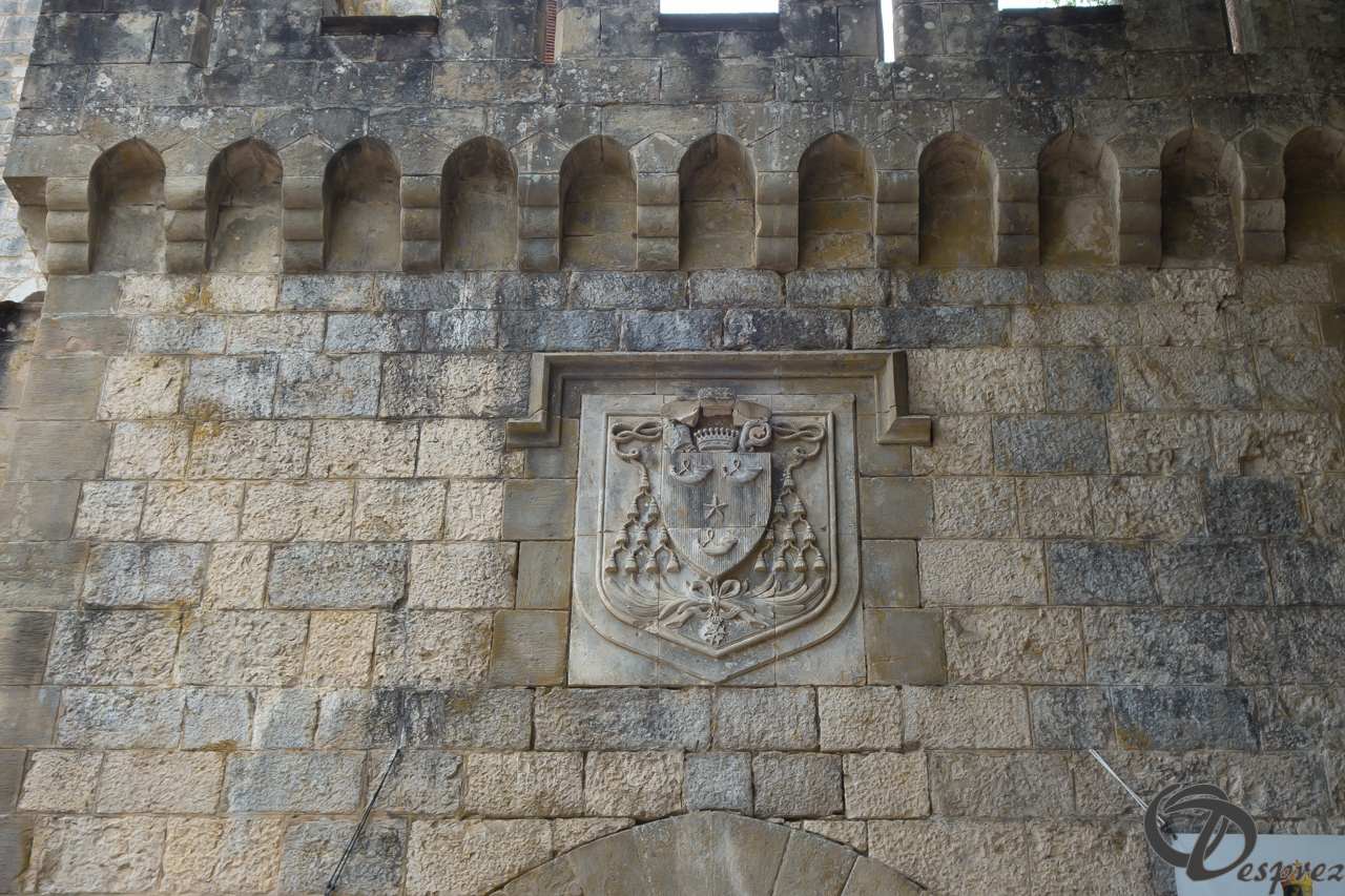 2021-août-15-DSC03432