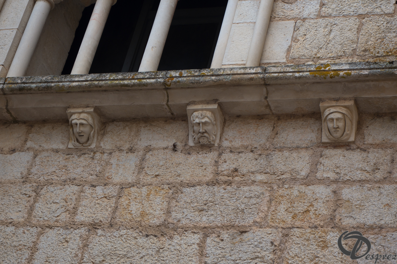 2021-août-15-DSC03436