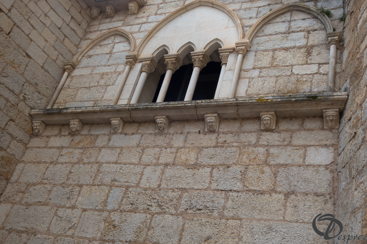 2021-août-15-DSC03437