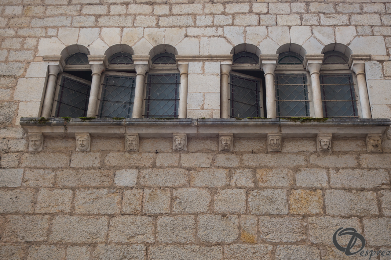 2021-août-15-DSC03438