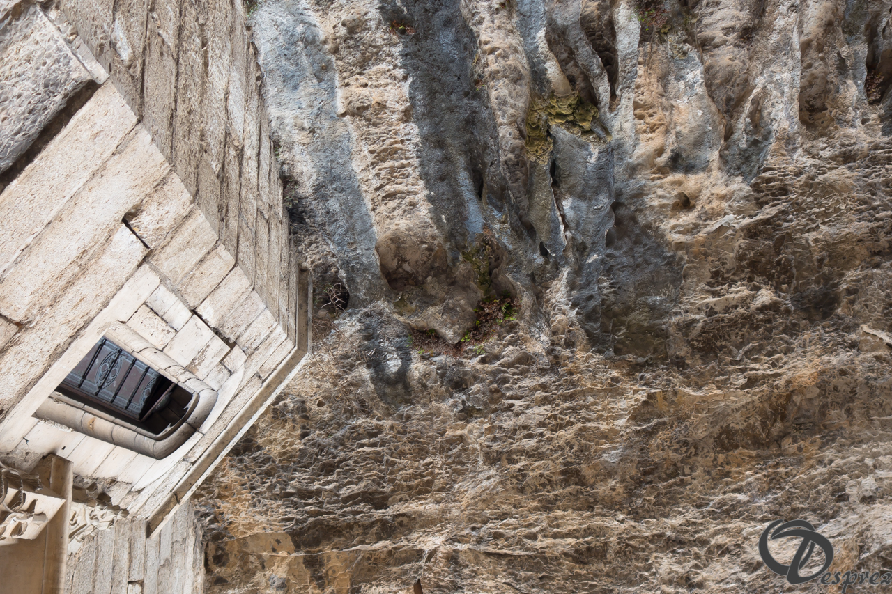 2021-août-15-DSC03439