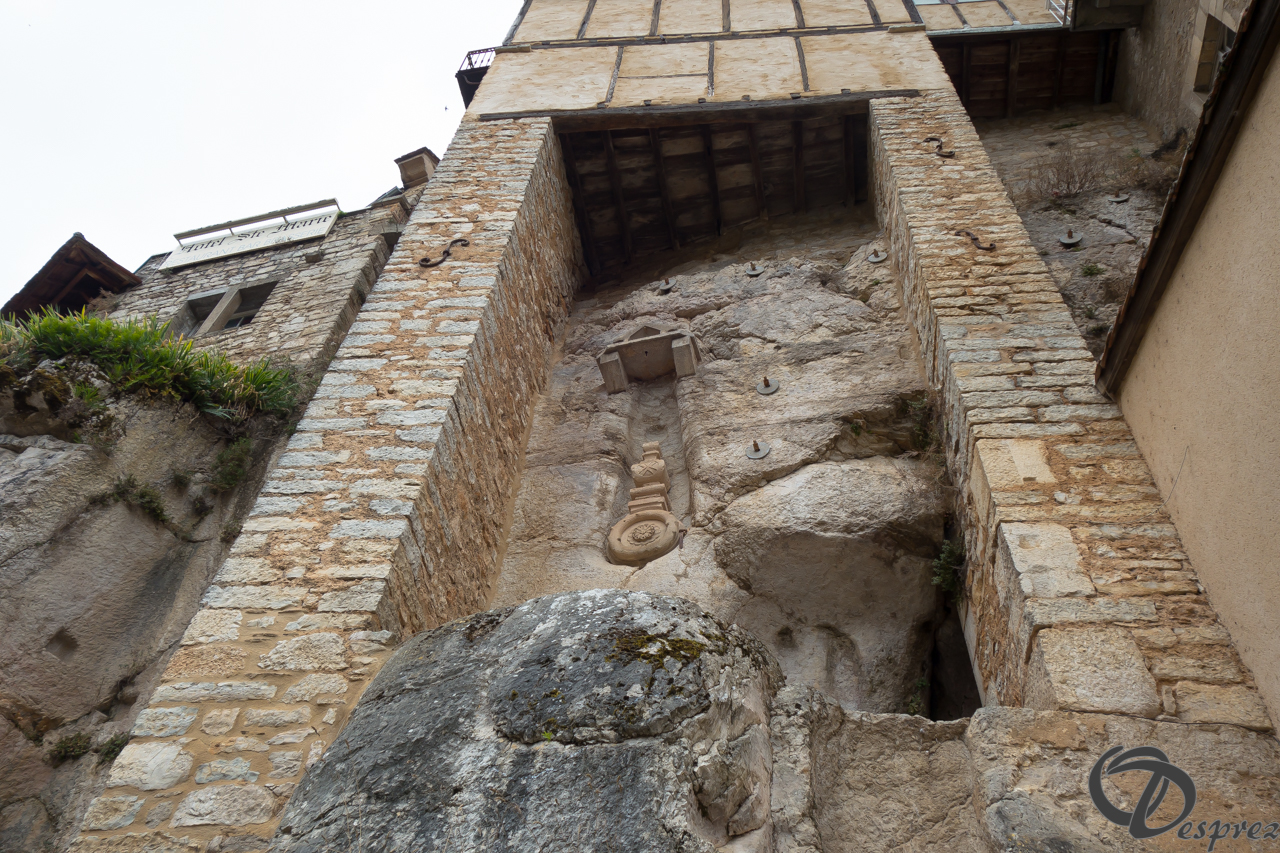 2021-août-15-DSC03442