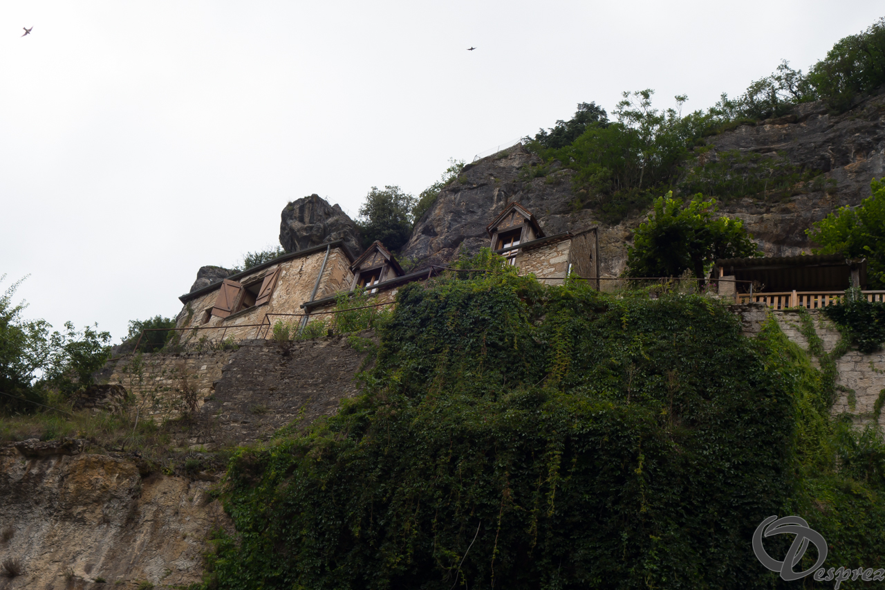 2021-août-15-DSC03444