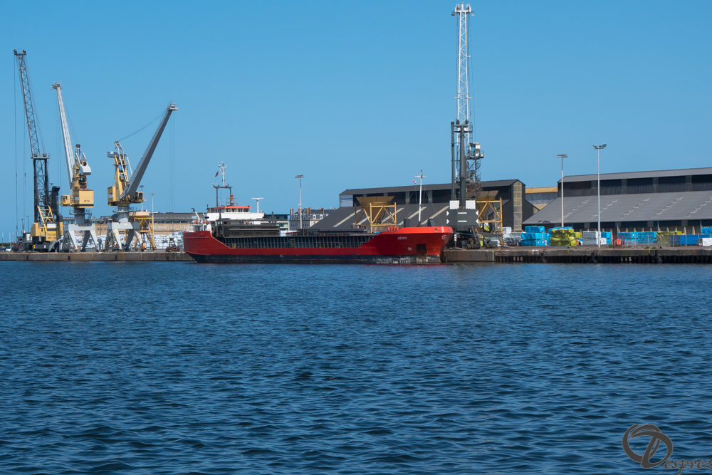 2019-aout-21-DSC03244